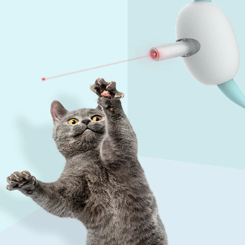 Collier Laser pour Chat – L'accessoire incontournable pour divertir et stimuler votre félin !