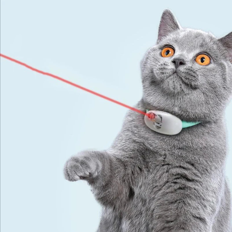 Collier Laser pour Chat – L'accessoire incontournable pour divertir et stimuler votre félin !